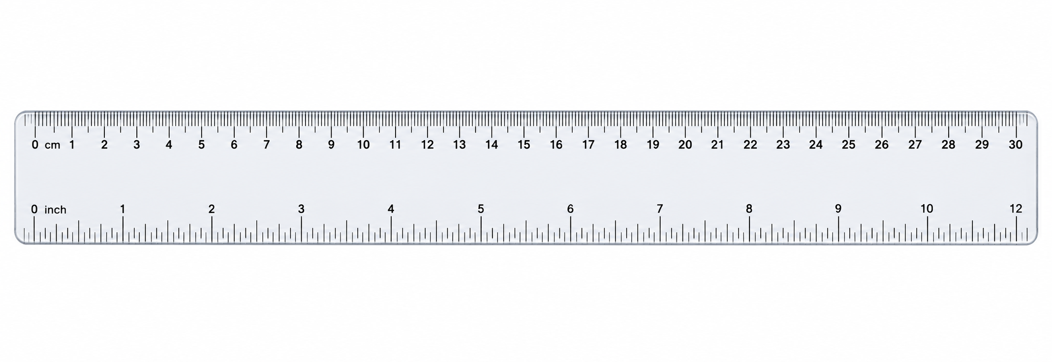 transparent 30cm and 12 inch ruler